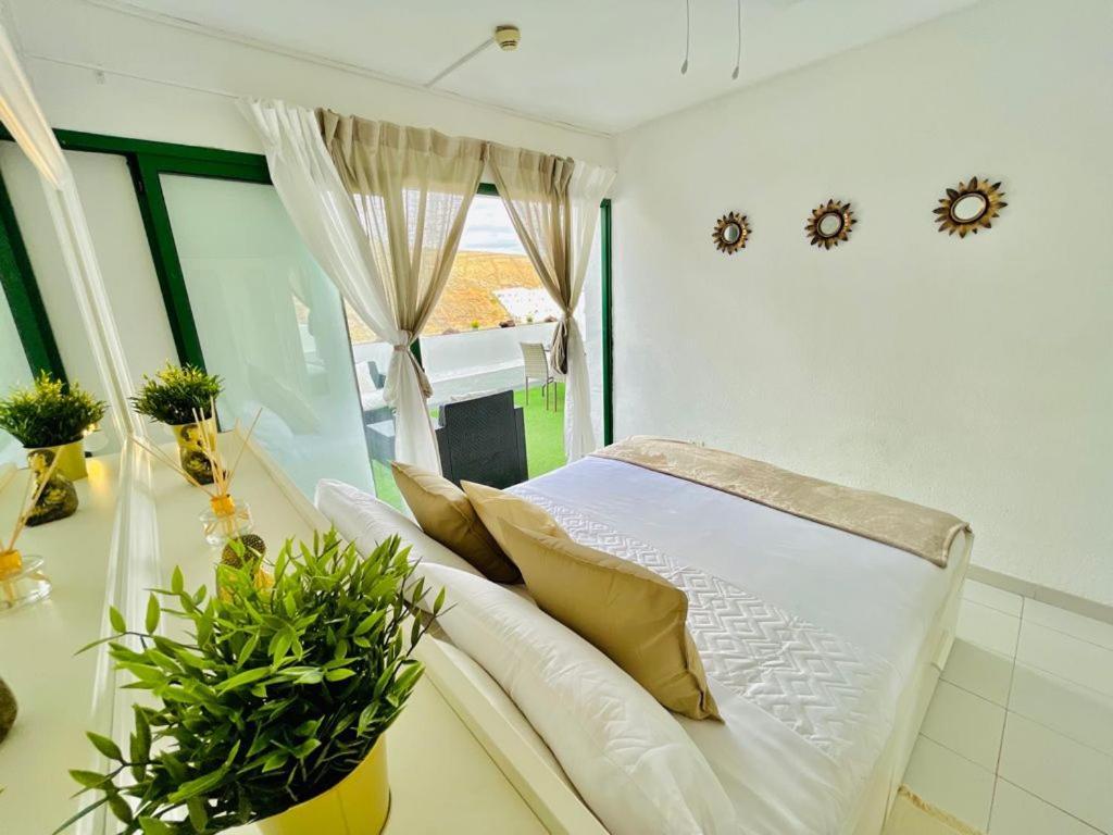 The Malibu Holiday Club Suite - Puerto Rico Puerto Rico  Exteriér fotografie